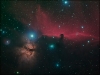horsehead