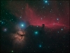 horsehead